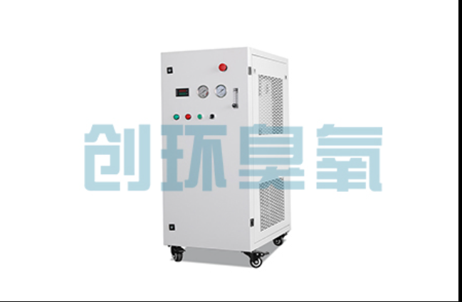 洛阳工厂化养鲈必看：2026年臭氧发生器替代传统消毒的最新方案