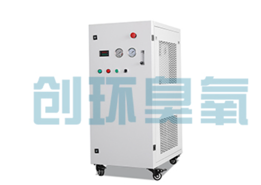 洛阳石斑鱼养殖水质调控完整指南：臭氧发生器配置与操作步骤